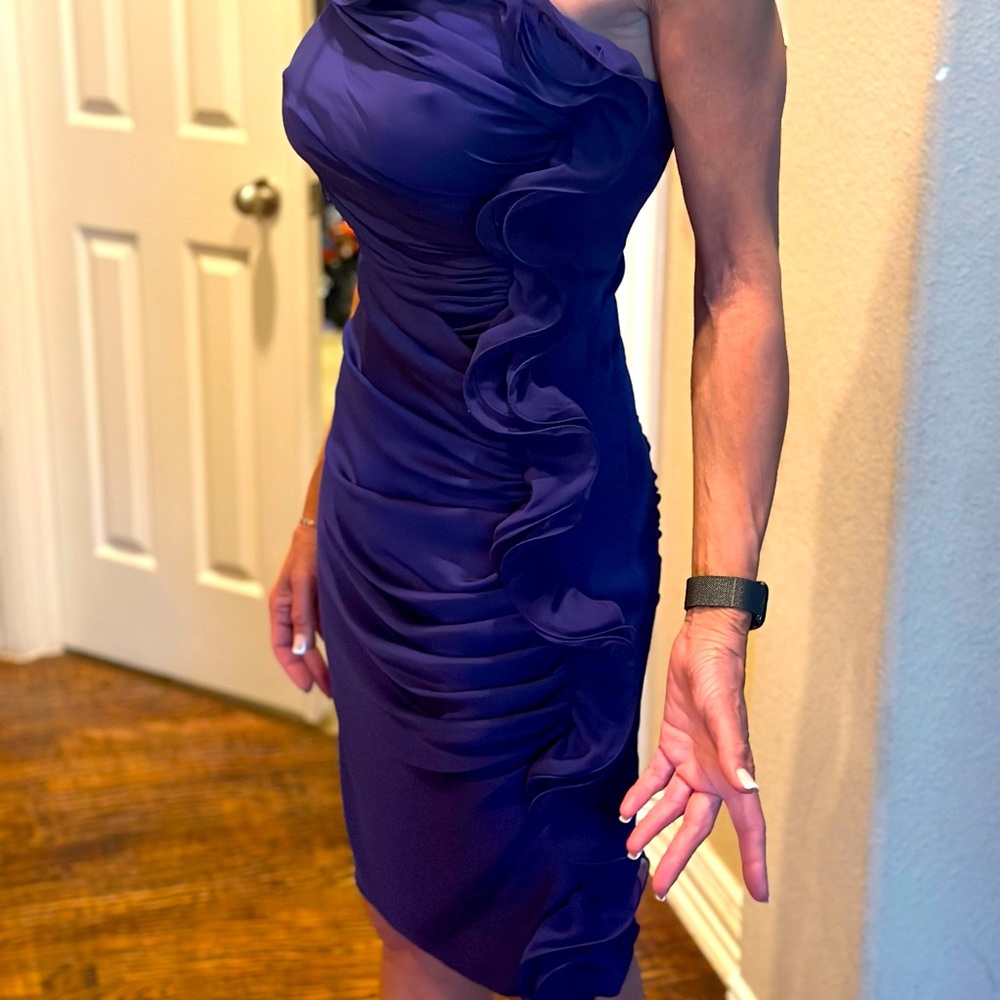 Catherine Malandrino - Gorgeous Purple Dress - Size 2 - Worn Once